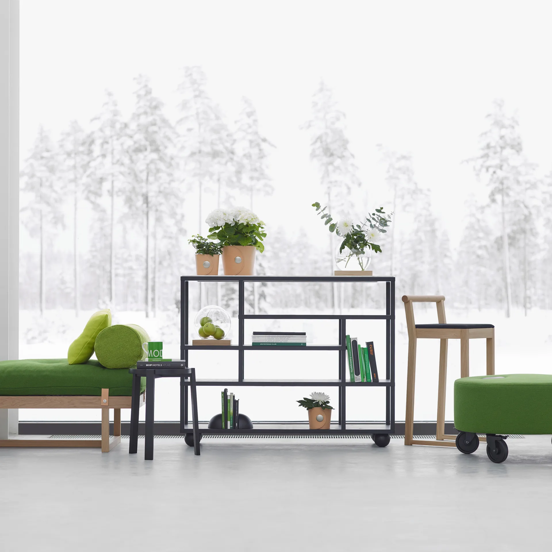 Show hylla, Svartbetsad ek A2