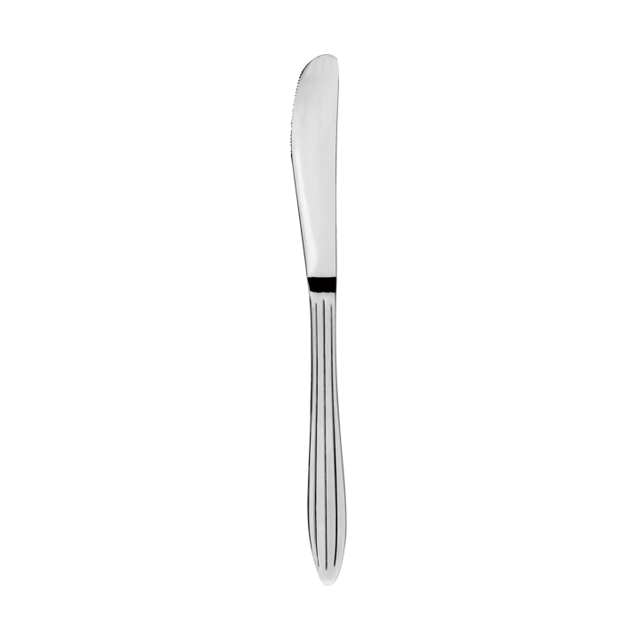 Gastro kniv - Rostfritt stål - Aida