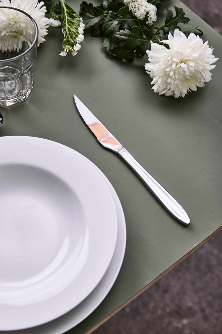 Gastro stekkniv, Rostfritt stål Aida