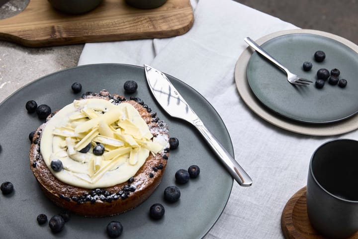 Raw tårtkniv, Stål blank Aida