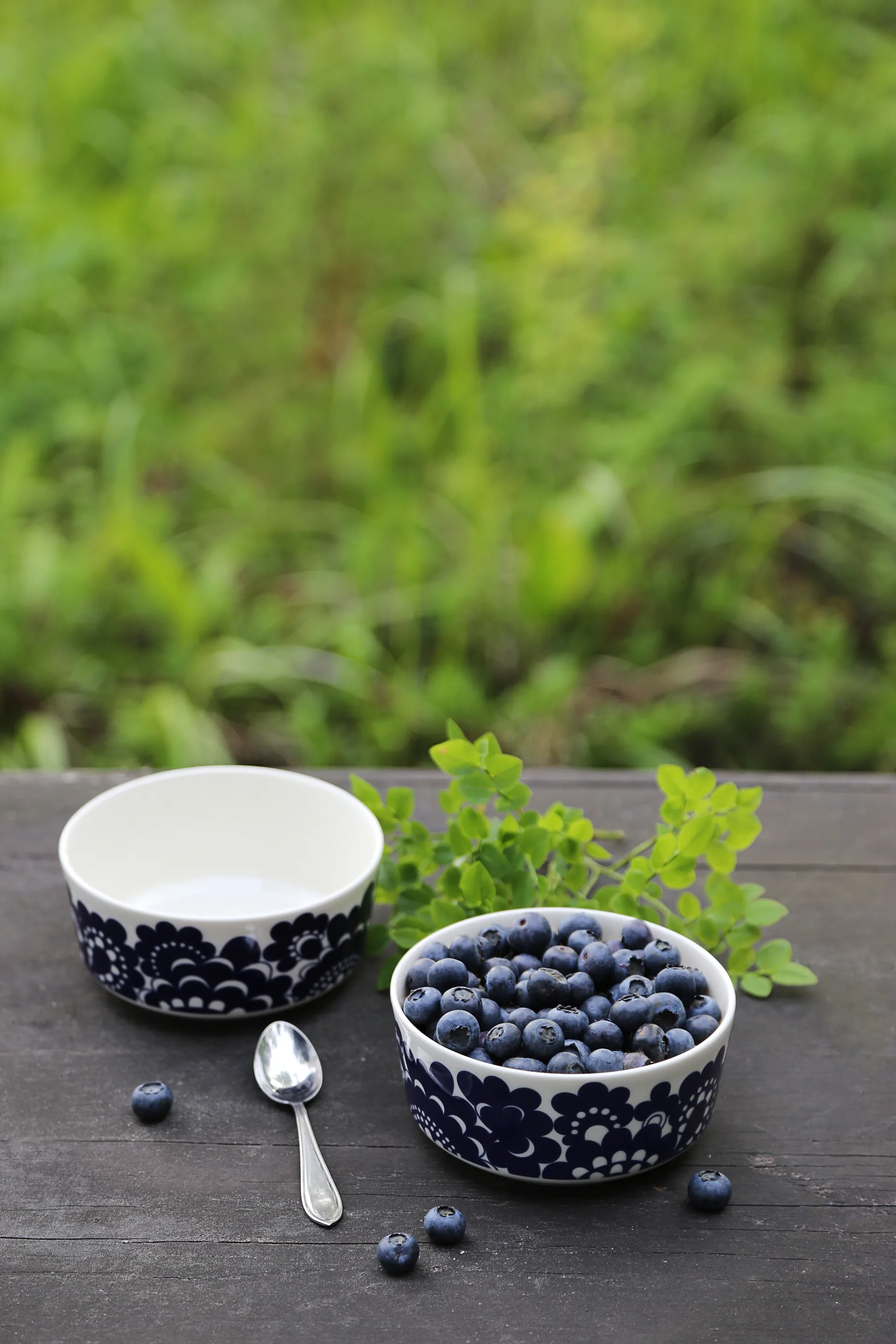 Esteri mugg 30 cl och skål Ø13 cm, Blå Arabia