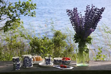 Pastoraali & Esteri Arabia mixset mugg 2 delar - Blå - Arabia