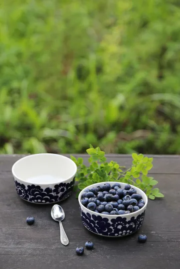 Pastoraali & Esteri Arabia mixset skål 2 delar - Blå - Arabia