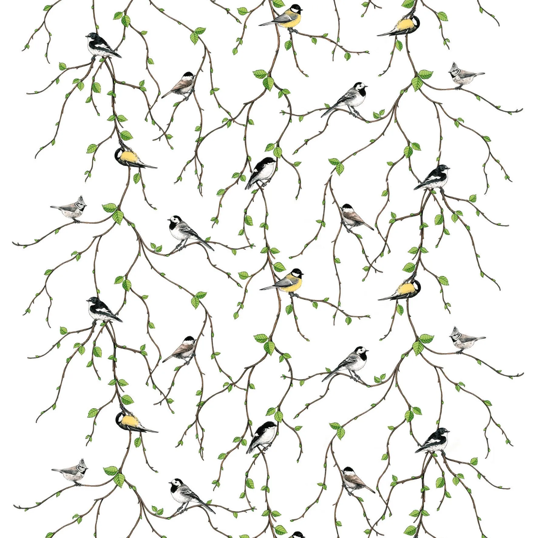 Fågelfest tyg, multi Arvidssons Textil