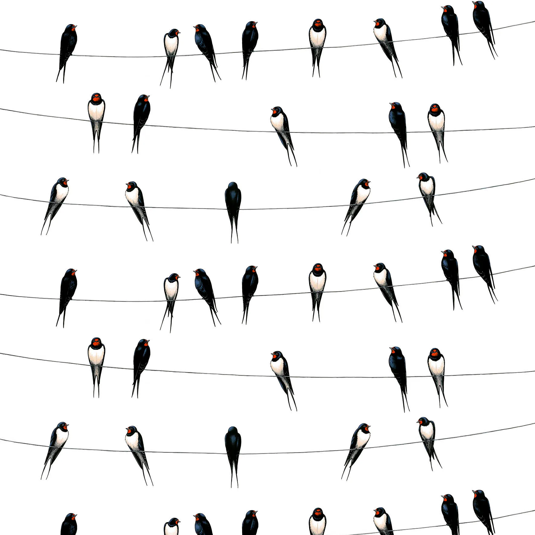 Ladusvalor tyg, vit Arvidssons Textil