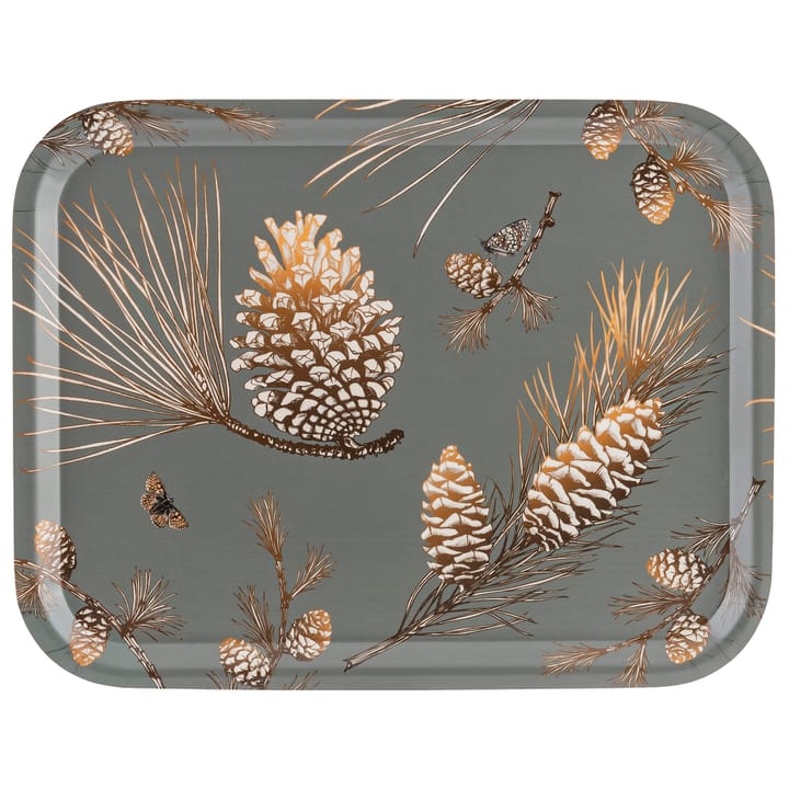 Pine Cone bricka 28x36 cm - Moss grey - Åry Home