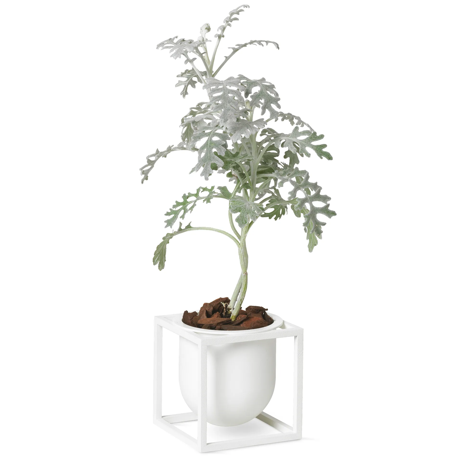 Kubus blomkruka 10 cm, Vit Audo Copenhagen