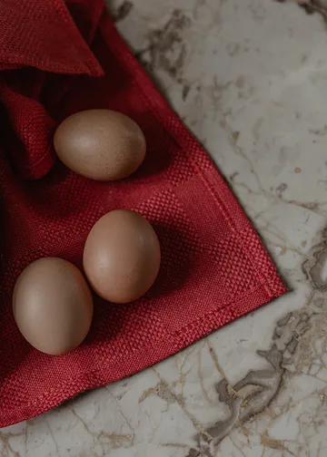 Papilio kökshandduk 40x64 cm 2-pack - Burnt sienna-white - Audo Copenhagen