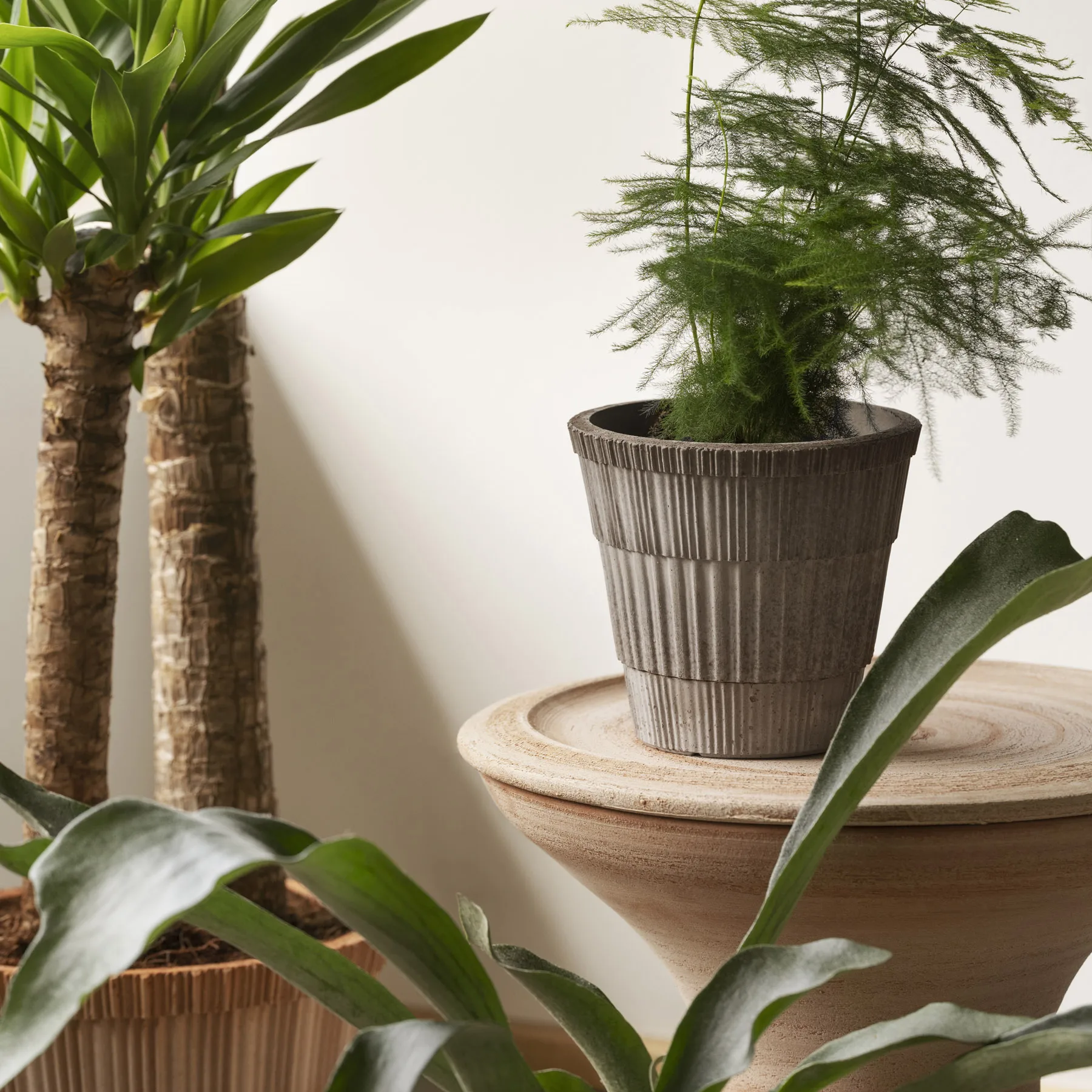 Atlas raw kruka med fat, Grey, Ø16 cm Bergs Potter