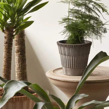 Atlas raw kruka med fat - Grey, Ø16 cm - Bergs Potter