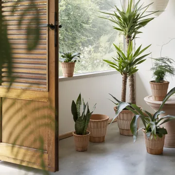 Atlas raw kruka med fat - Rosa, Ø18 cm - Bergs Potter