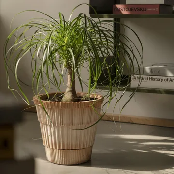 Atlas raw kruka med fat - Rosa, Ø18 cm - Bergs Potter