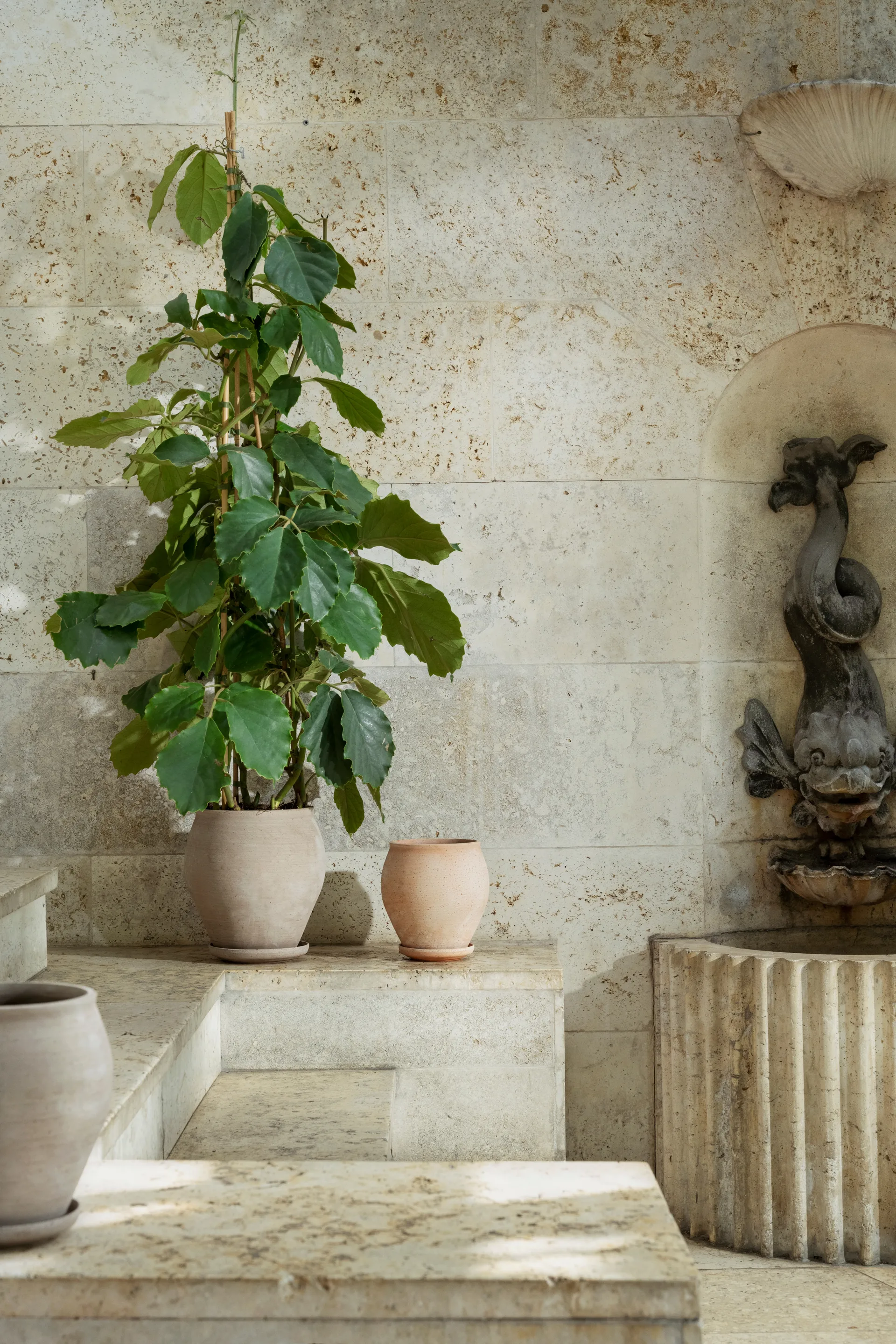 Delphi kruka med fat 2 delar, Grey, Ø22 cm, tall Bergs Potter