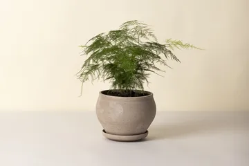 Delphi kruka med fat 2 delar - Grey, Ø24 cm, low - Bergs Potter