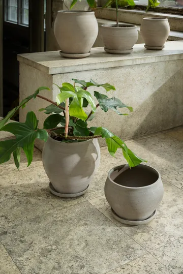 Delphi kruka med fat 2 delar - Grey, Ø24 cm, low - Bergs Potter