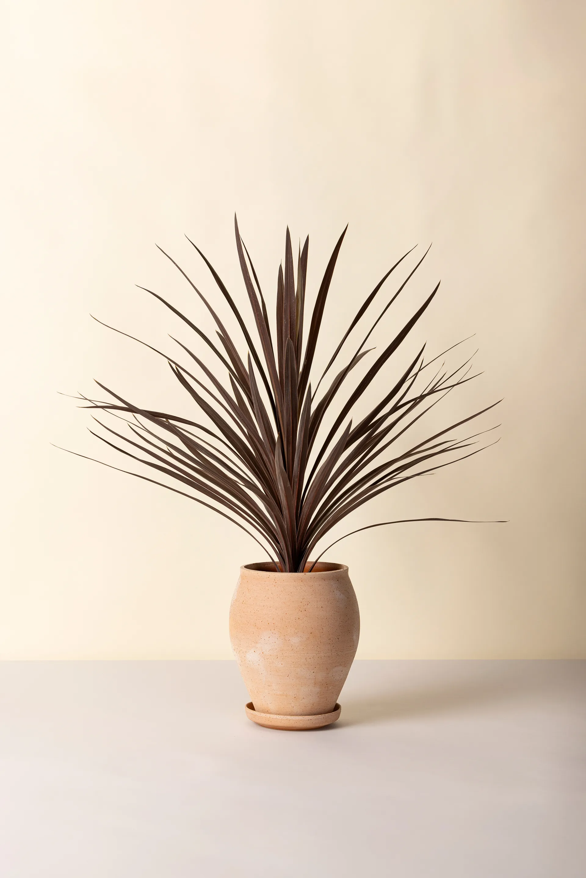 Delphi kruka med fat 2 delar, Rosa, Ø22 cm, tall Bergs Potter