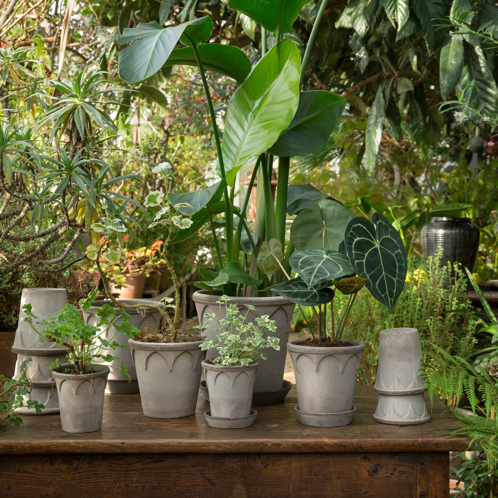 Elizabeth kruka Ø16 cm, Grey Bergs Potter