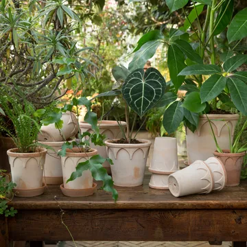 Elizabeth kruka Ø21 cm - Rose - Bergs Potter