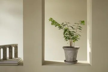 Fleur kruka med fat 2 delar - Grey, Ø21 cm - Bergs Potter