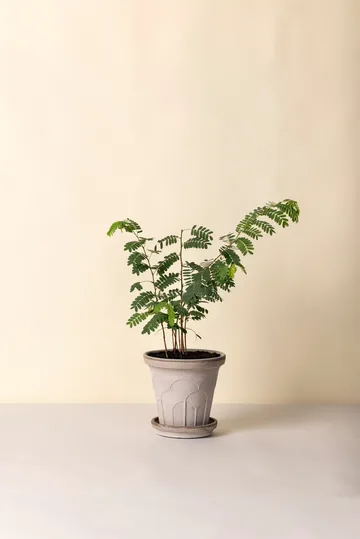 Fleur kruka med fat 2 delar - Grey, Ø21 cm - Bergs Potter