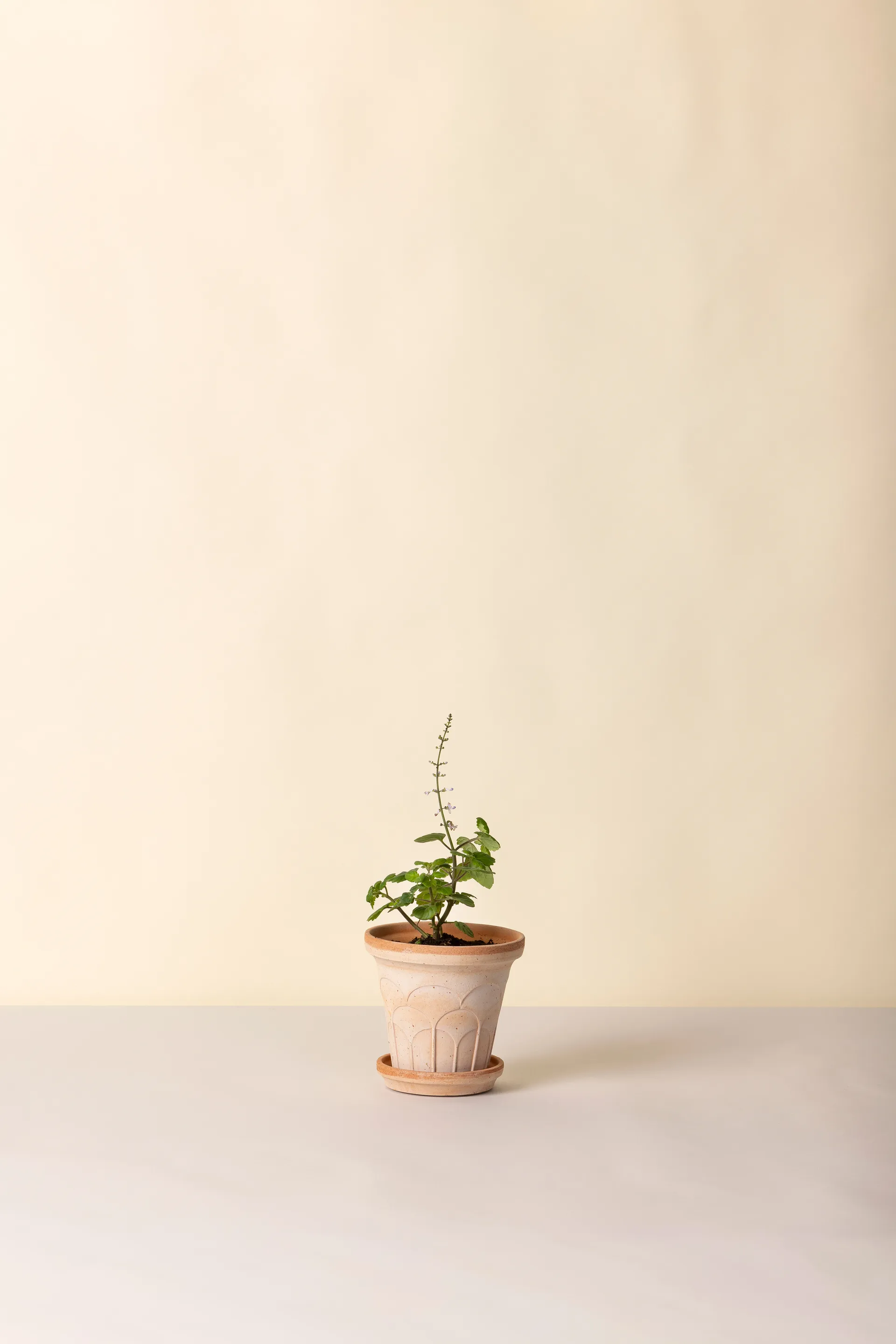 Fleur kruka med fat 2 delar, Rosa, Ø14 m Bergs Potter