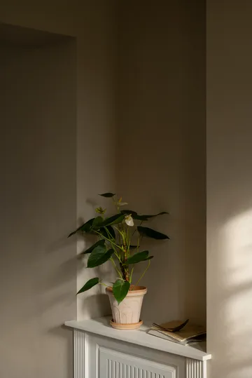 Fleur kruka med fat 2 delar - Rosa, Ø16 cm - Bergs Potter