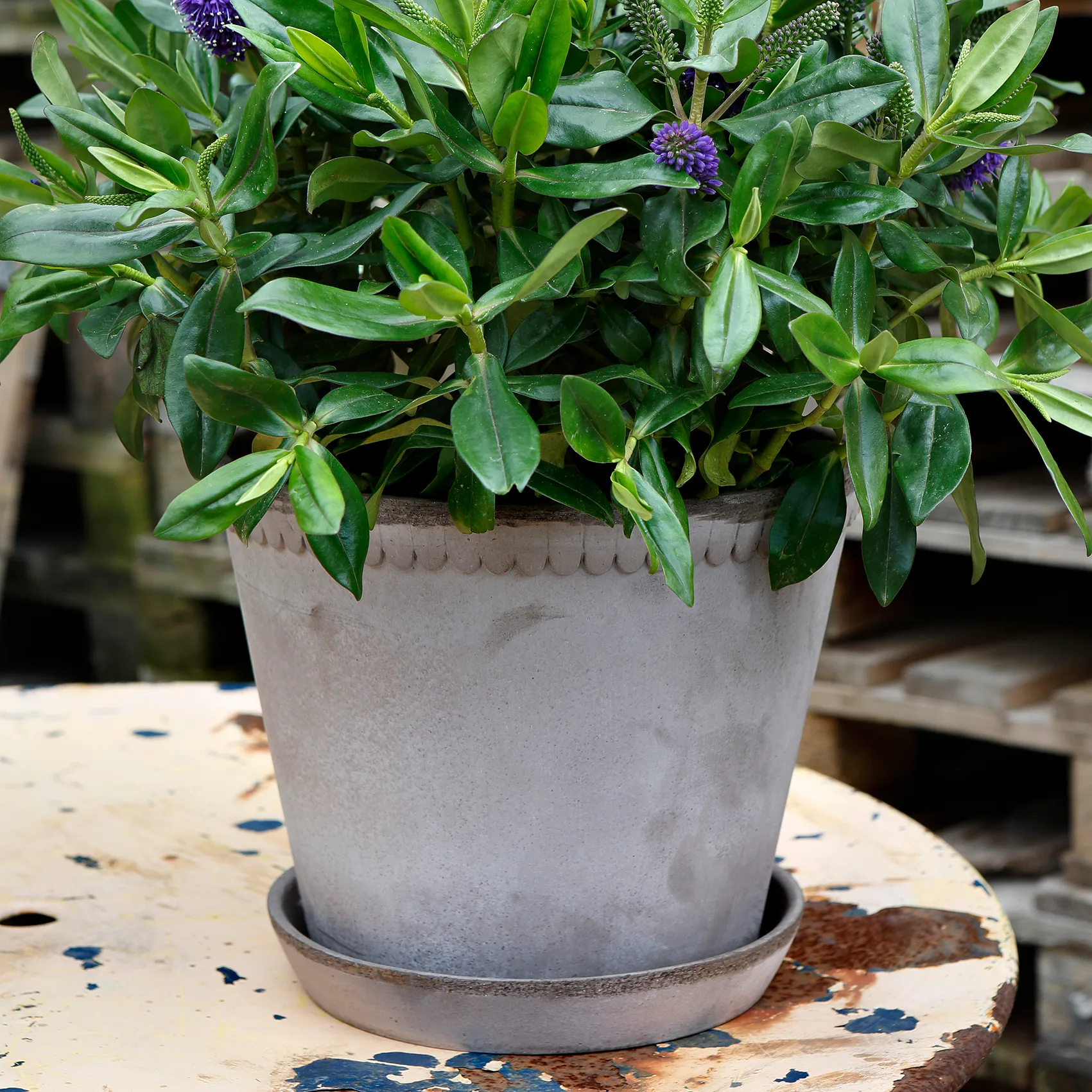 Helena kruka Ø21 cm, Grå Bergs Potter