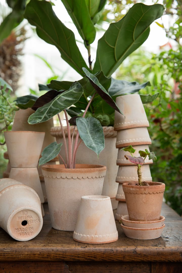 Helena kruka Ø25 cm, Rosa Bergs Potter