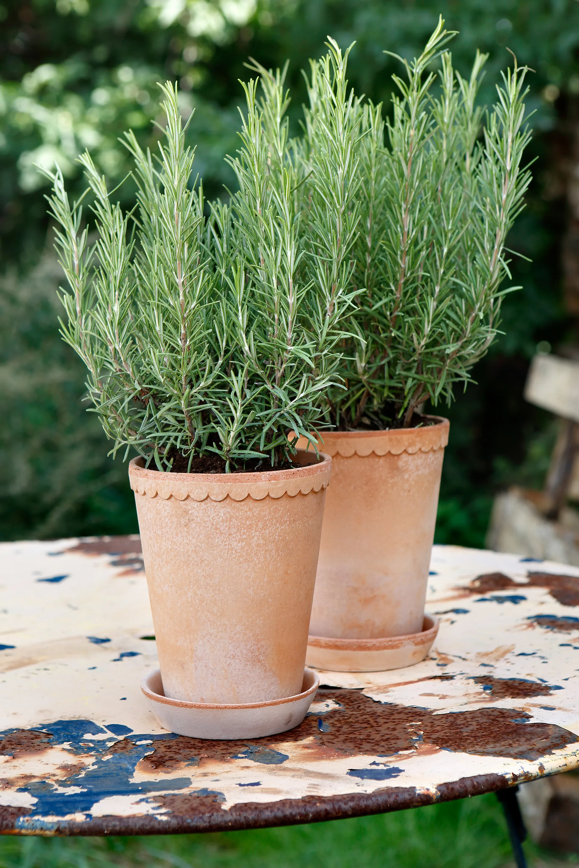 Helena kruka hög Ø14 cm, Rosa Bergs Potter