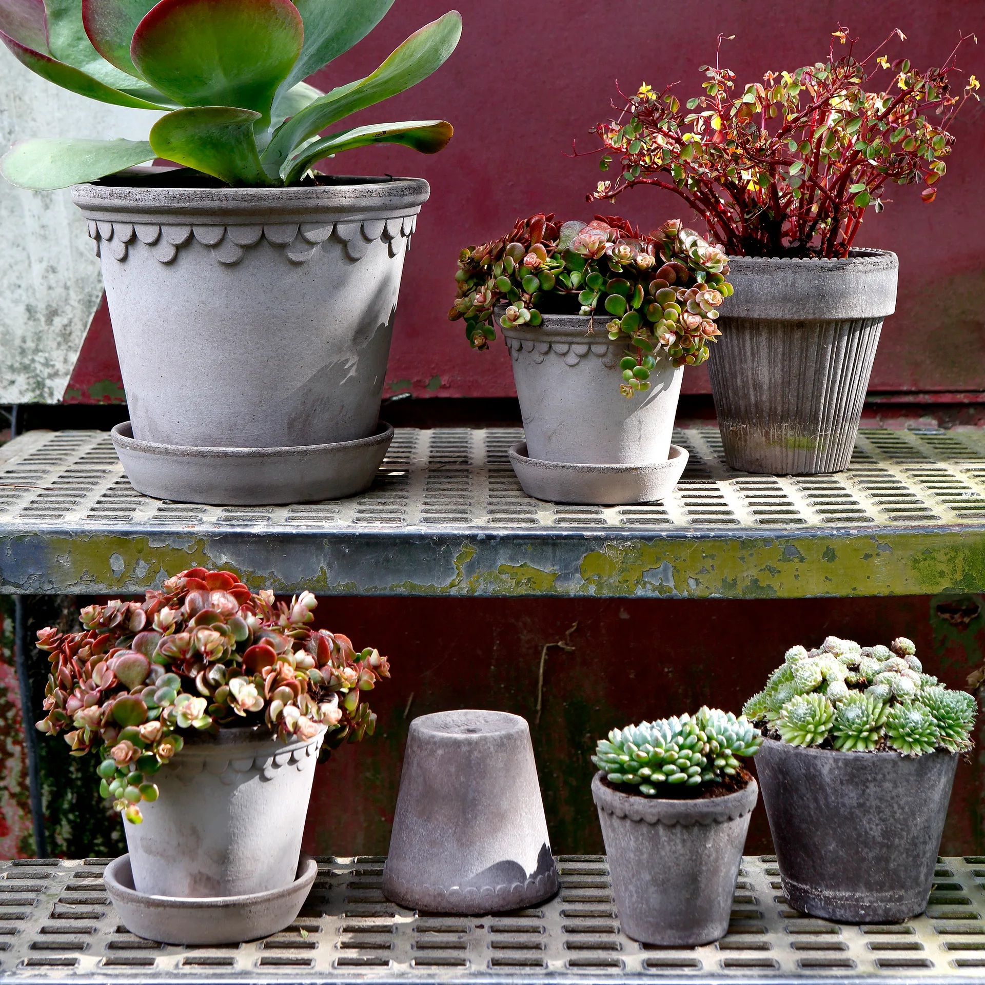 Köpenhamn kruka Ø10 cm, Grå Bergs Potter