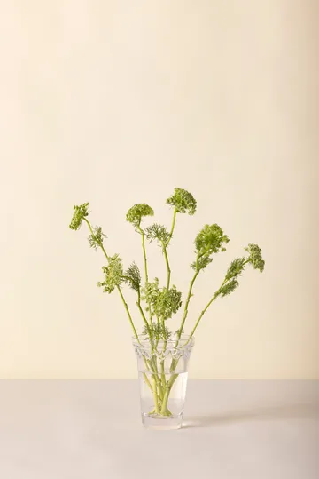 Köpenhamn vas - Klar, 18,5 cm - Bergs Potter