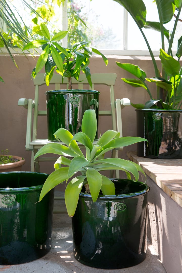 Modena kruka glaserad Ø30 cm - Green - Bergs Potter