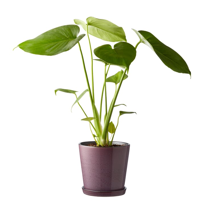 Bitz kruka med fat Ø14 cm, Lila-svart Bitz