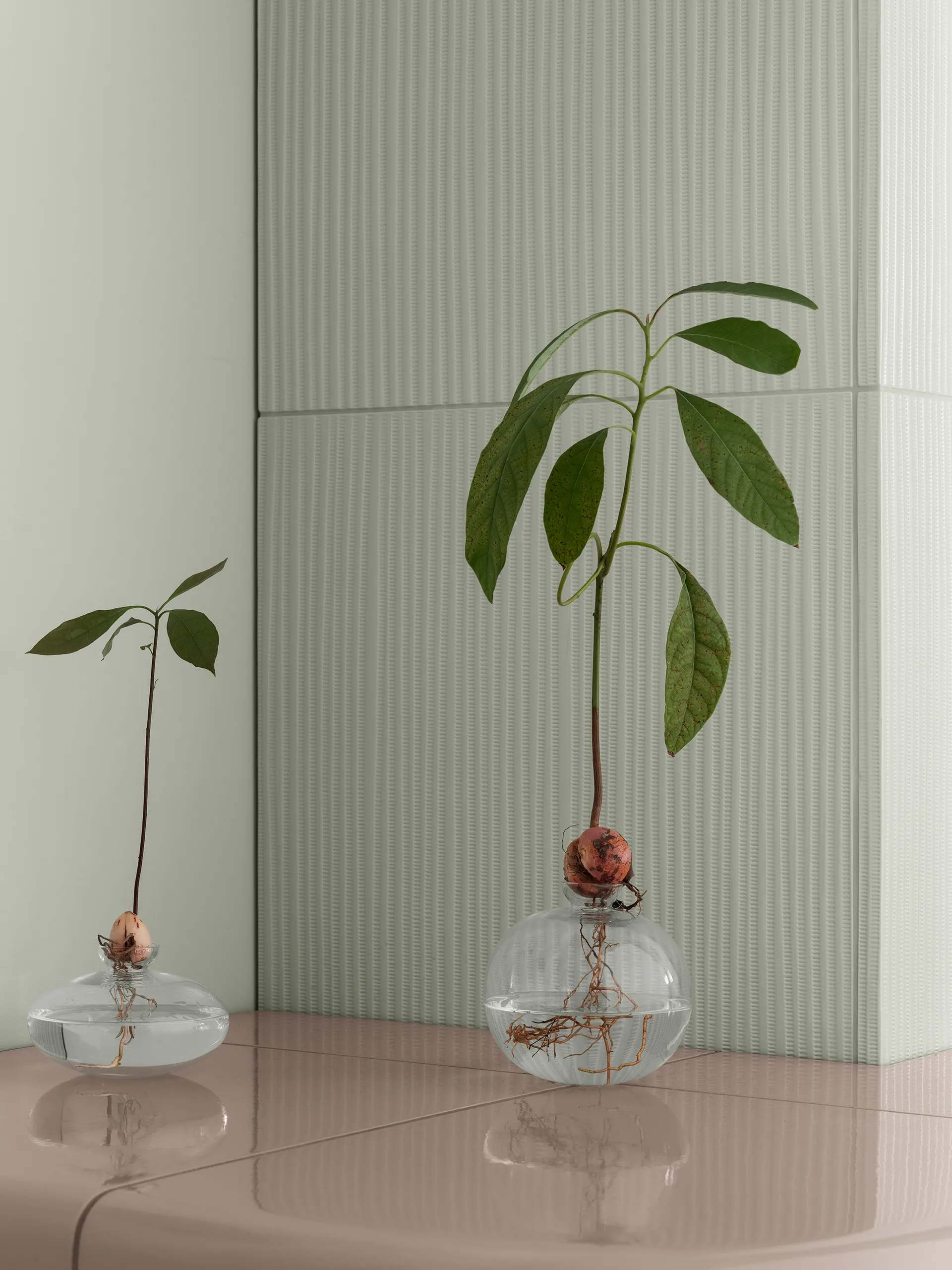 Avo vas 14,5 cm, Klar blomus