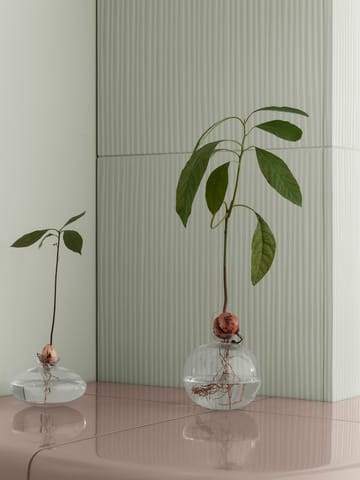 Avo vas 9,5 cm - Klar - Blomus