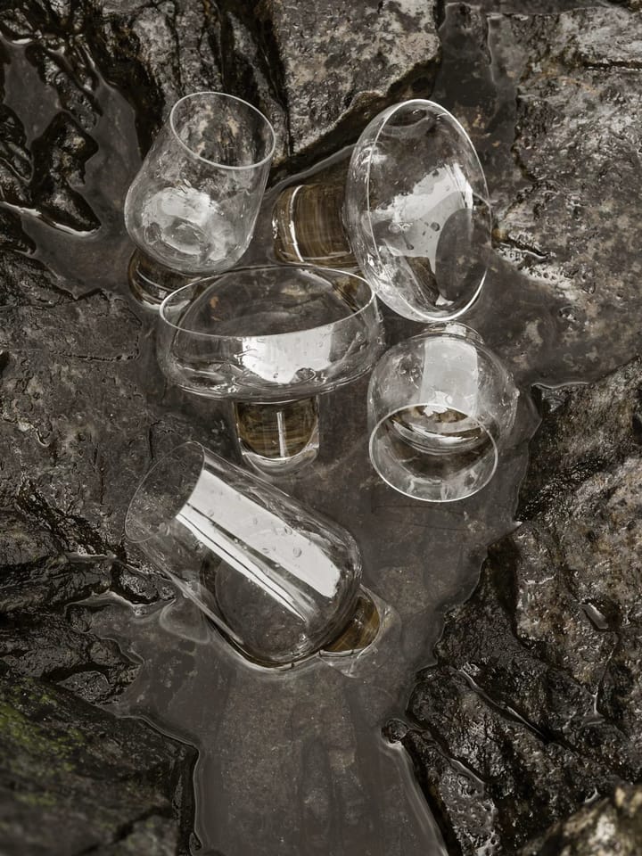 Koyoi proseccoglas 20 cl, klar Blomus