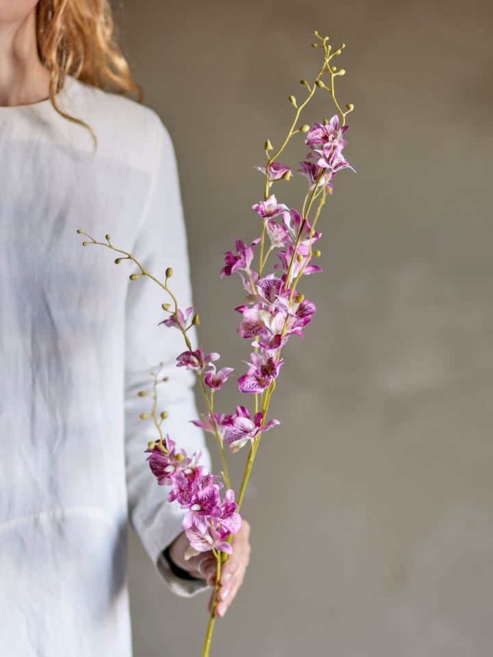 Stem orkidé vaxblomma, Pink Bloomingville