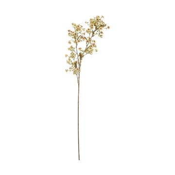 Stem vaxblomma - Vit - Bloomingville