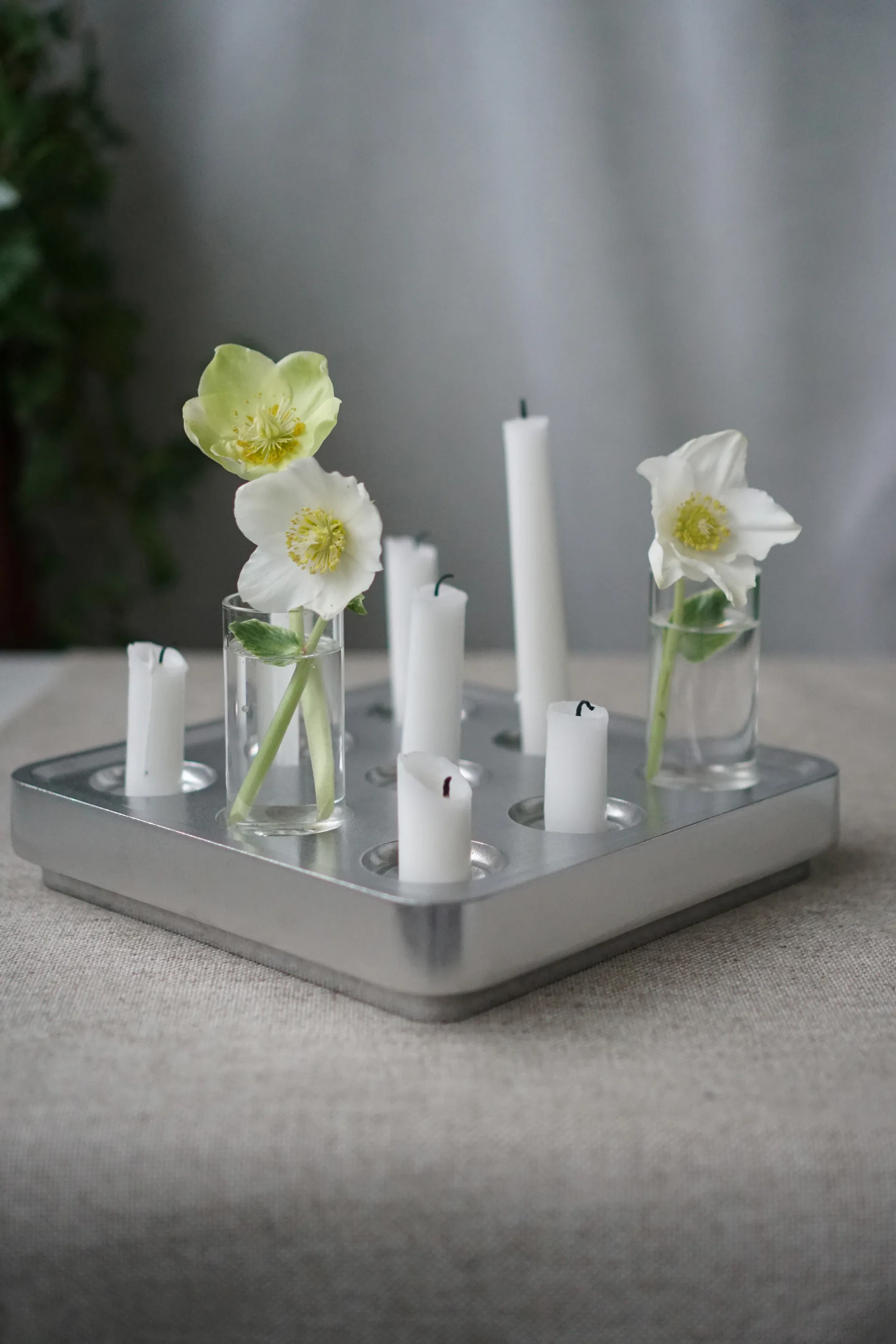 Stumpastaken polished, Liten Born In Sweden