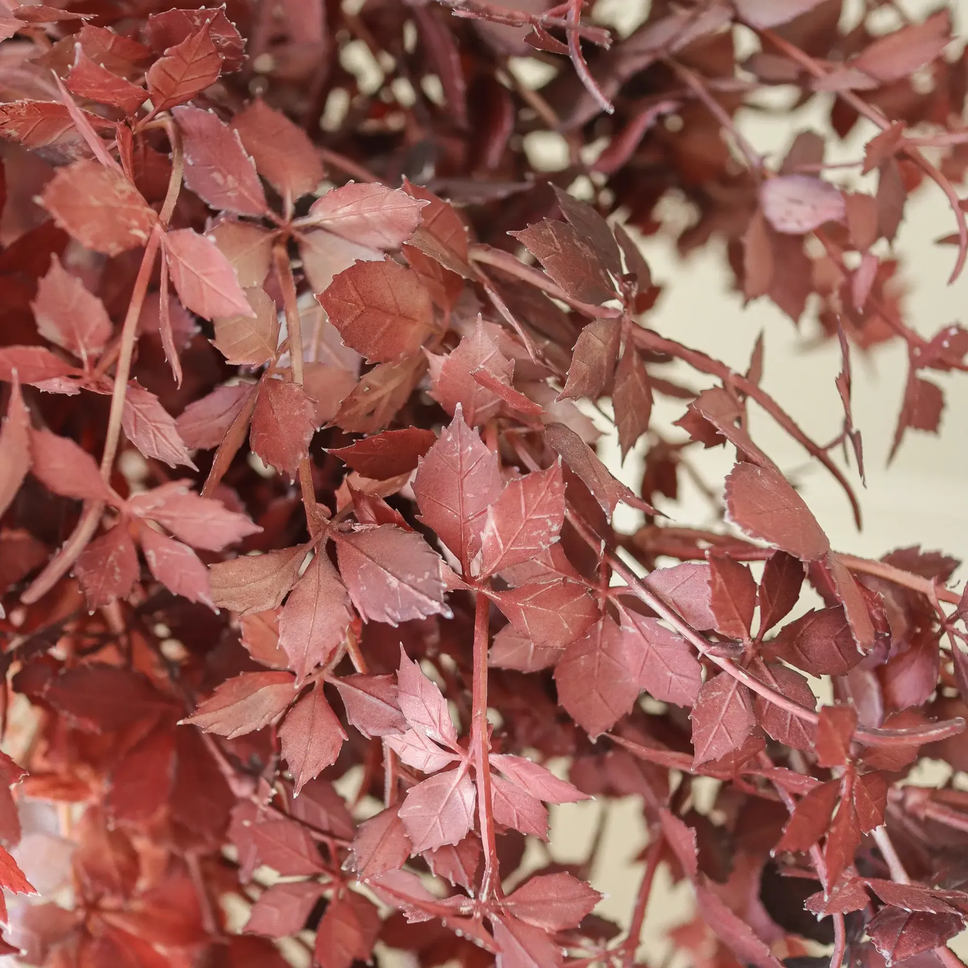 Burgundy Maple Branch konstgjord bukett, 107 cm, 4 st Botané