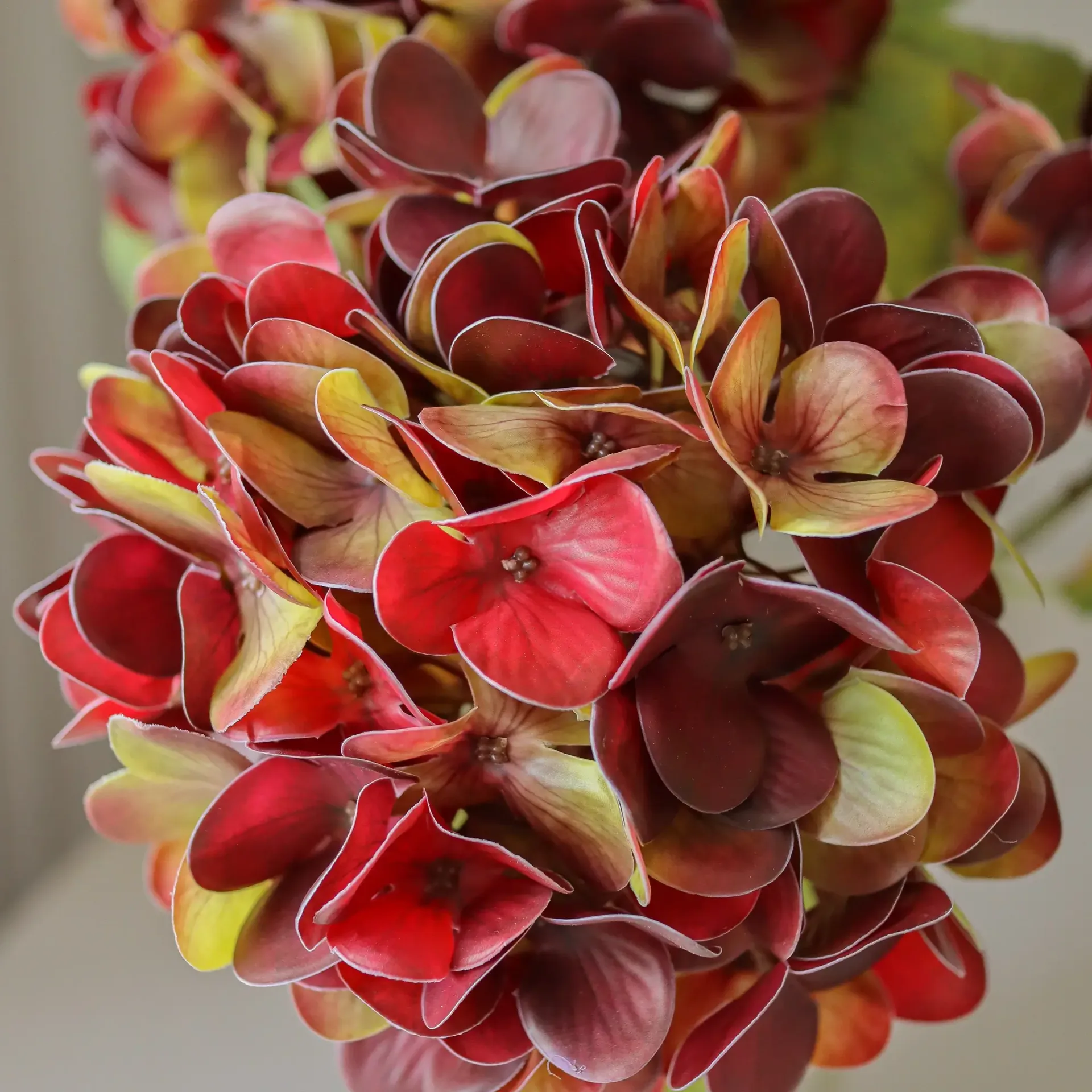 Hortensia konstgjord blomma, Deep burgundy, 60 cm, 1 st Botané