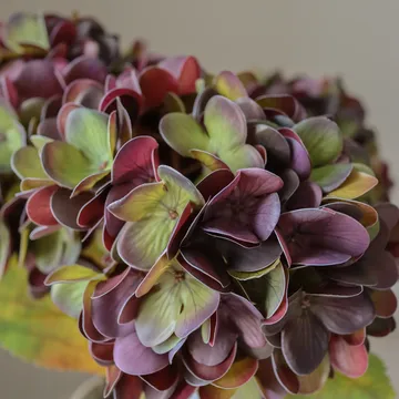 Hortensia konstgjord blomma - Muted purple, 60 cm, 1 st - Botané