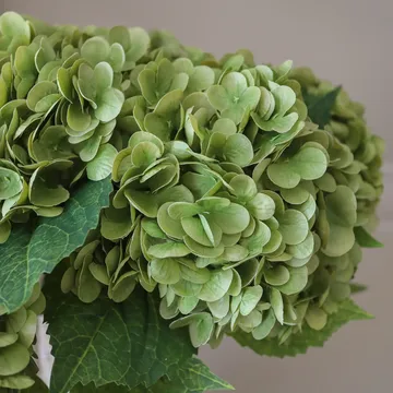 Hortensia konstgjord bukett - Moss green, 51 cm, 6 st - Botané