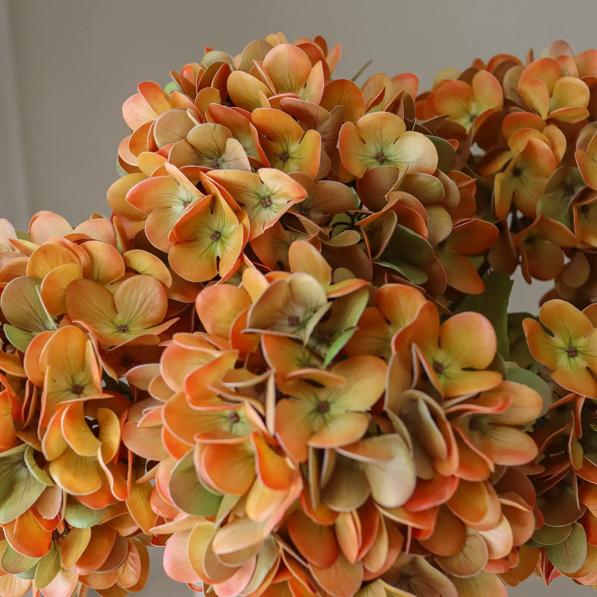 Hortensia konstgjord bukett, Orange, 60 cm, 6 st Botané