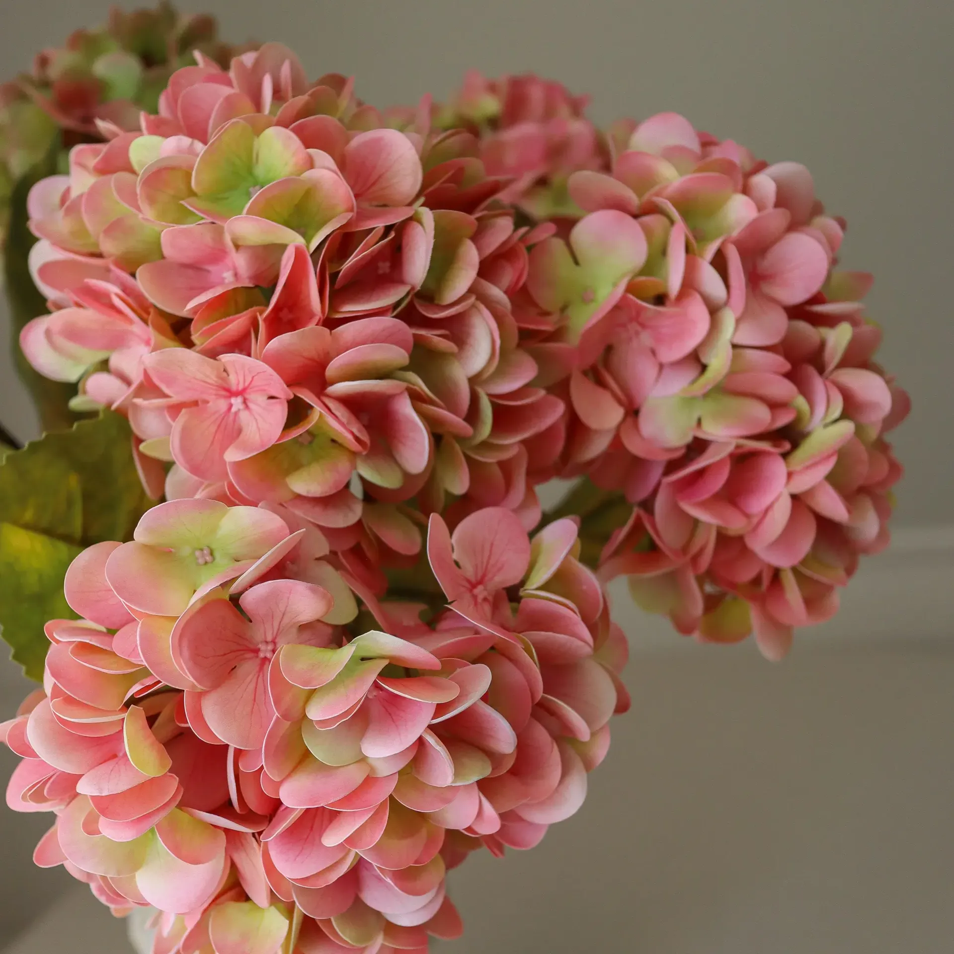 Hortensia konstgjord bukett, Soft pink, 60 cm, 5 st Botané