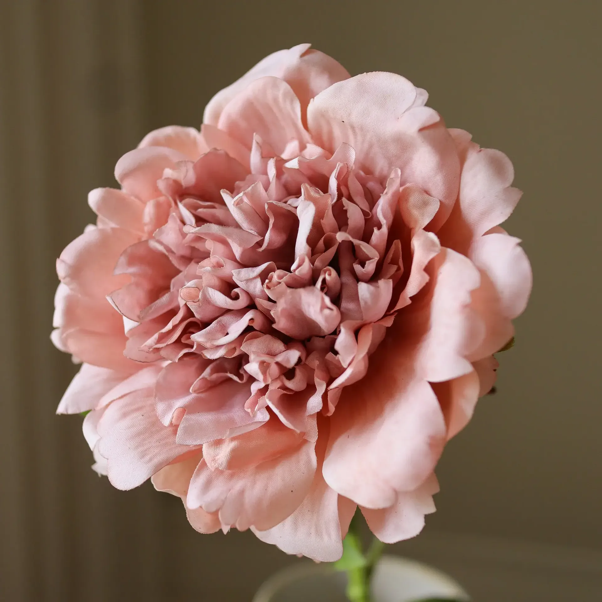 Pion konstgjord blomma, Dusty pink, 56 cm, 1 st Botané