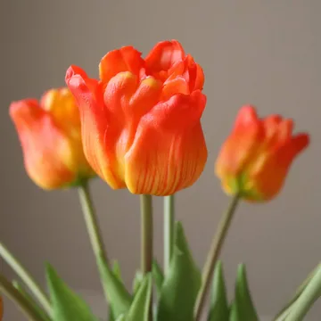 Tulpaner triumph konstgjord bukett - Orange, 10 st - Botané