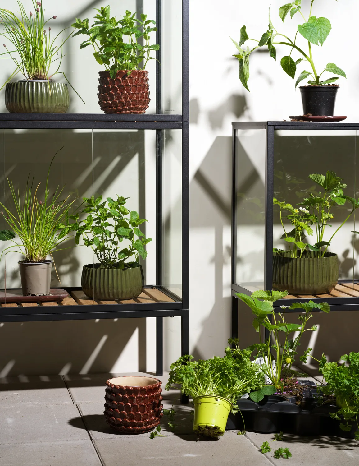 Grower Greens växtskåp, Svart, 81x137 cm Brafab