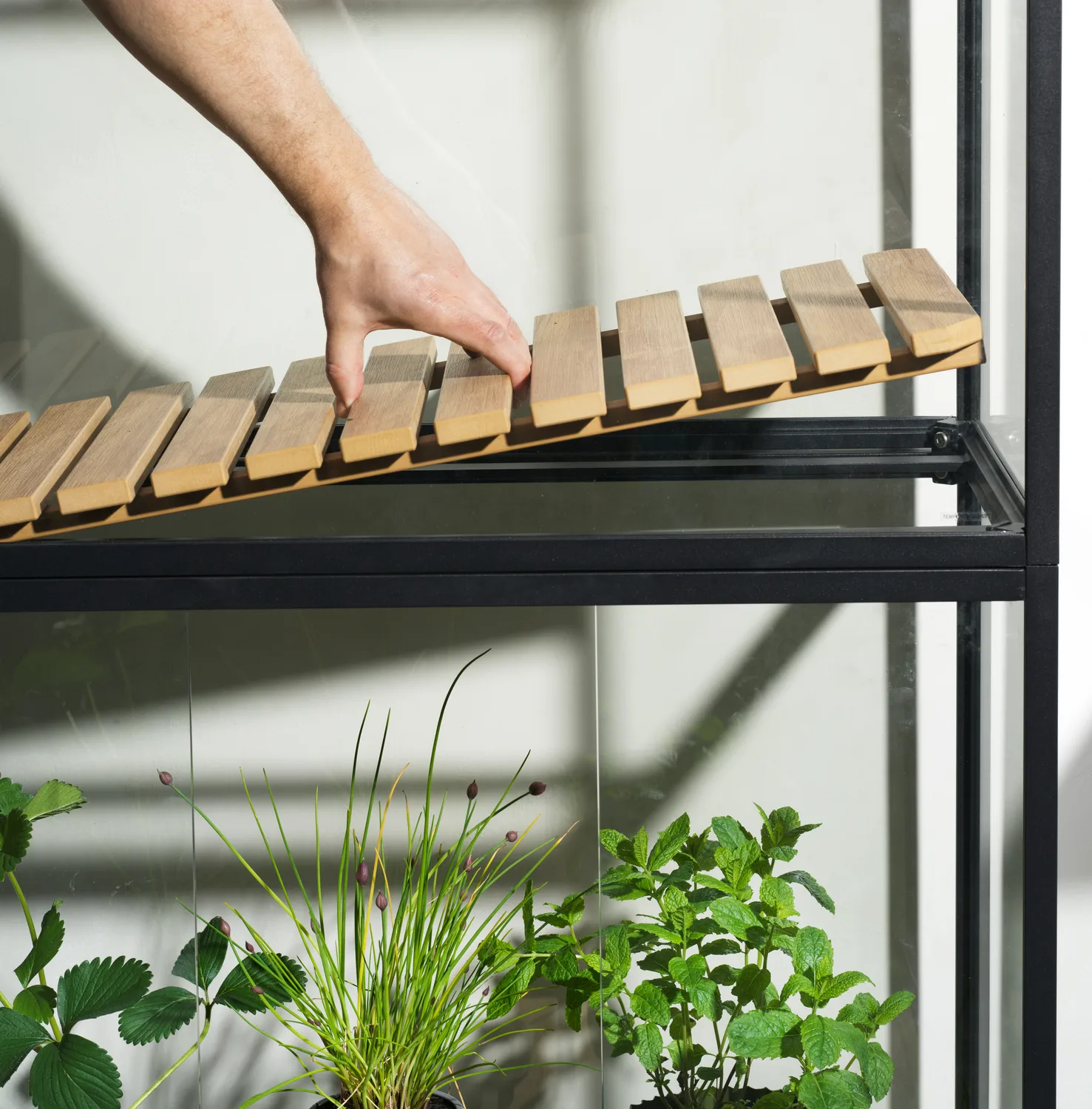 Grower Greens växtskåp, Svart, 81x137 cm Brafab