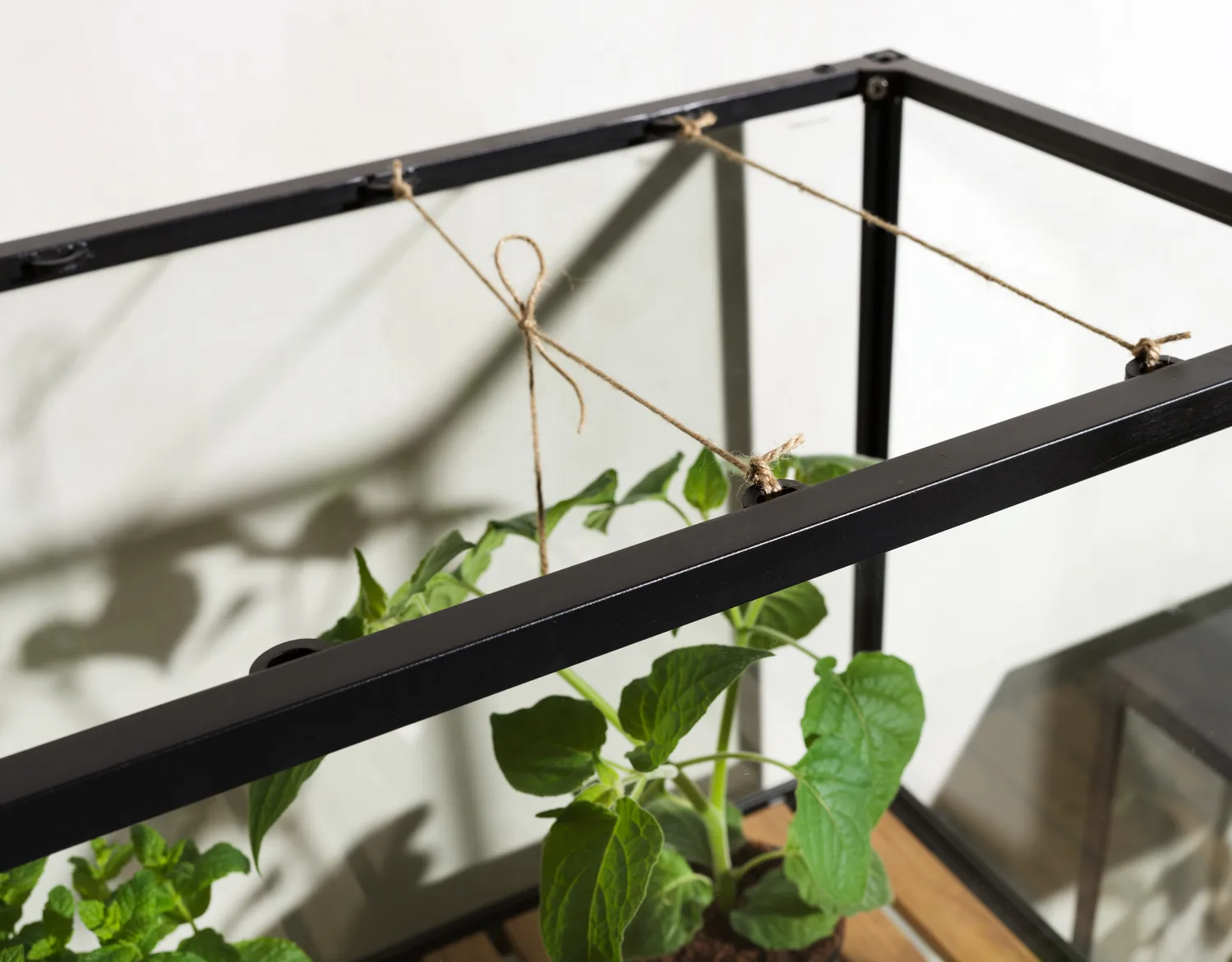 Grower Greens växtskåp, Svart, 81x137 cm Brafab